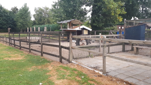 ../fotos/het_verlaat_2018/2018-07-31 10.42.42.jpg